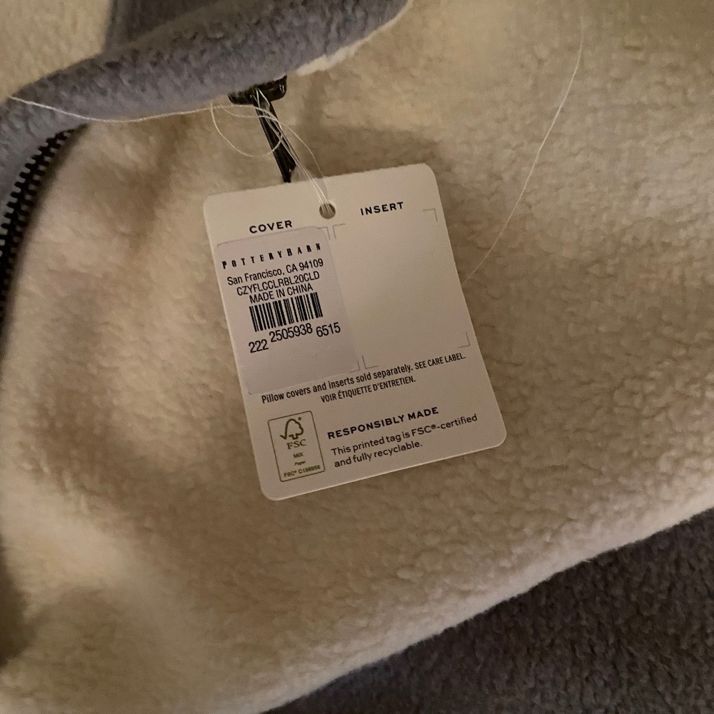 2 Pottery Barn Pillow covers